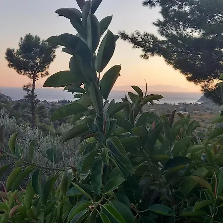 Villa Datca, Mesudiye 'Devillakoza Muestakil,Guenluek,Kiralik *