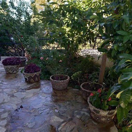 Datca, Mesudiye 'Devillakoza Muestakil,Guenluek,Kiralik *