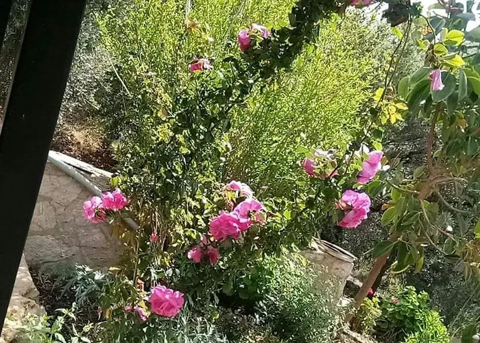 Datça, Mesudiye 'de Müstakil,günlük,kıralik