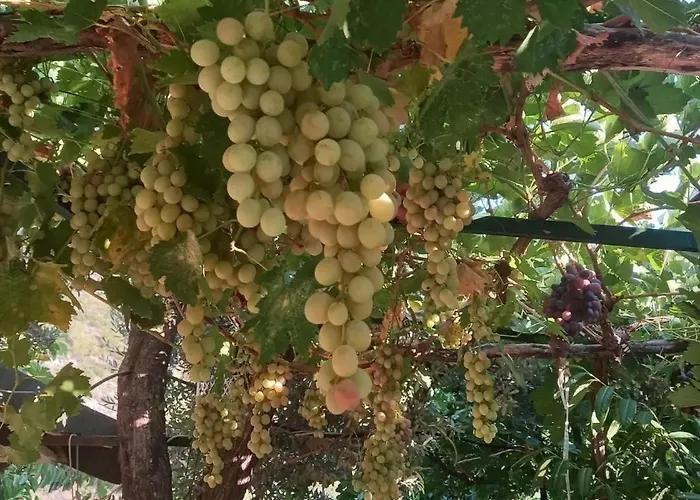 Datça, Mesudiye 'de Müstakil,günlük,kıralik Villa