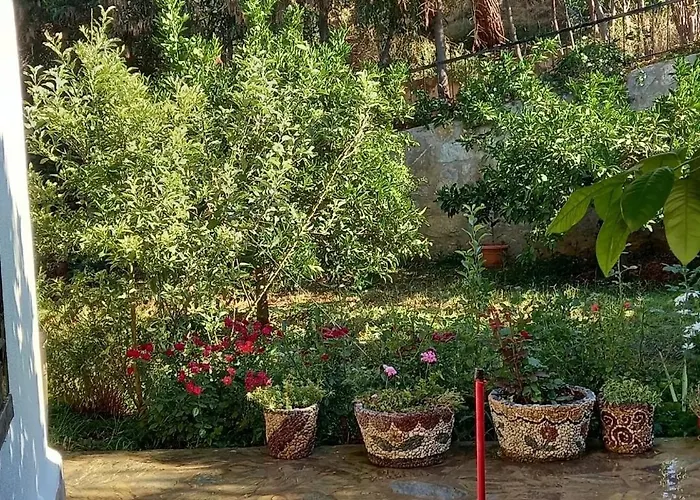 Datça, Mesudiye 'de Müstakil,günlük,kıralik Villa