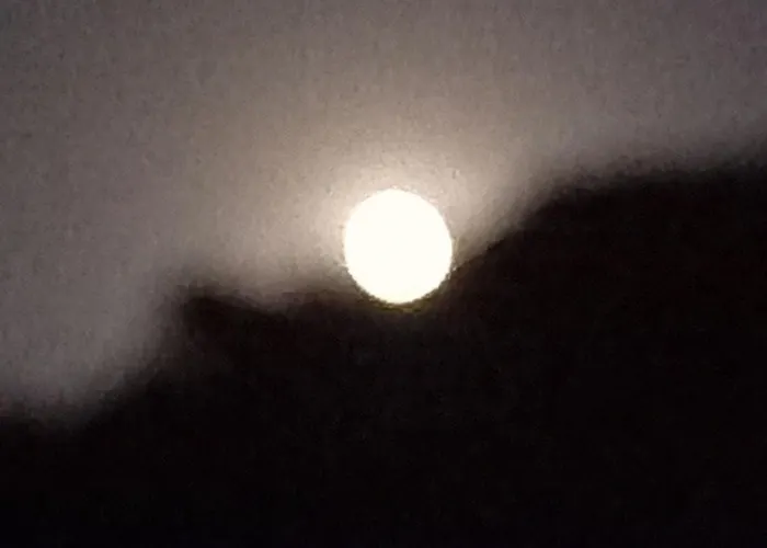 Datça, Mesudiye 'de Müstakil,günlük,kıralik Datça