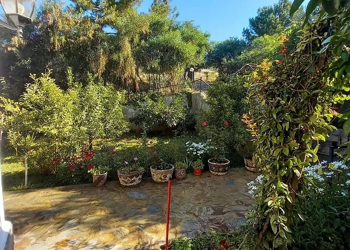 Datça, Mesudiye 'de Müstakil,günlük,kıralik