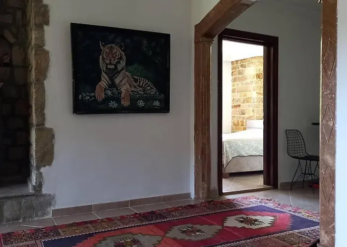 Datça, Mesudiye 'de Müstakil,günlük,kıralik Datça